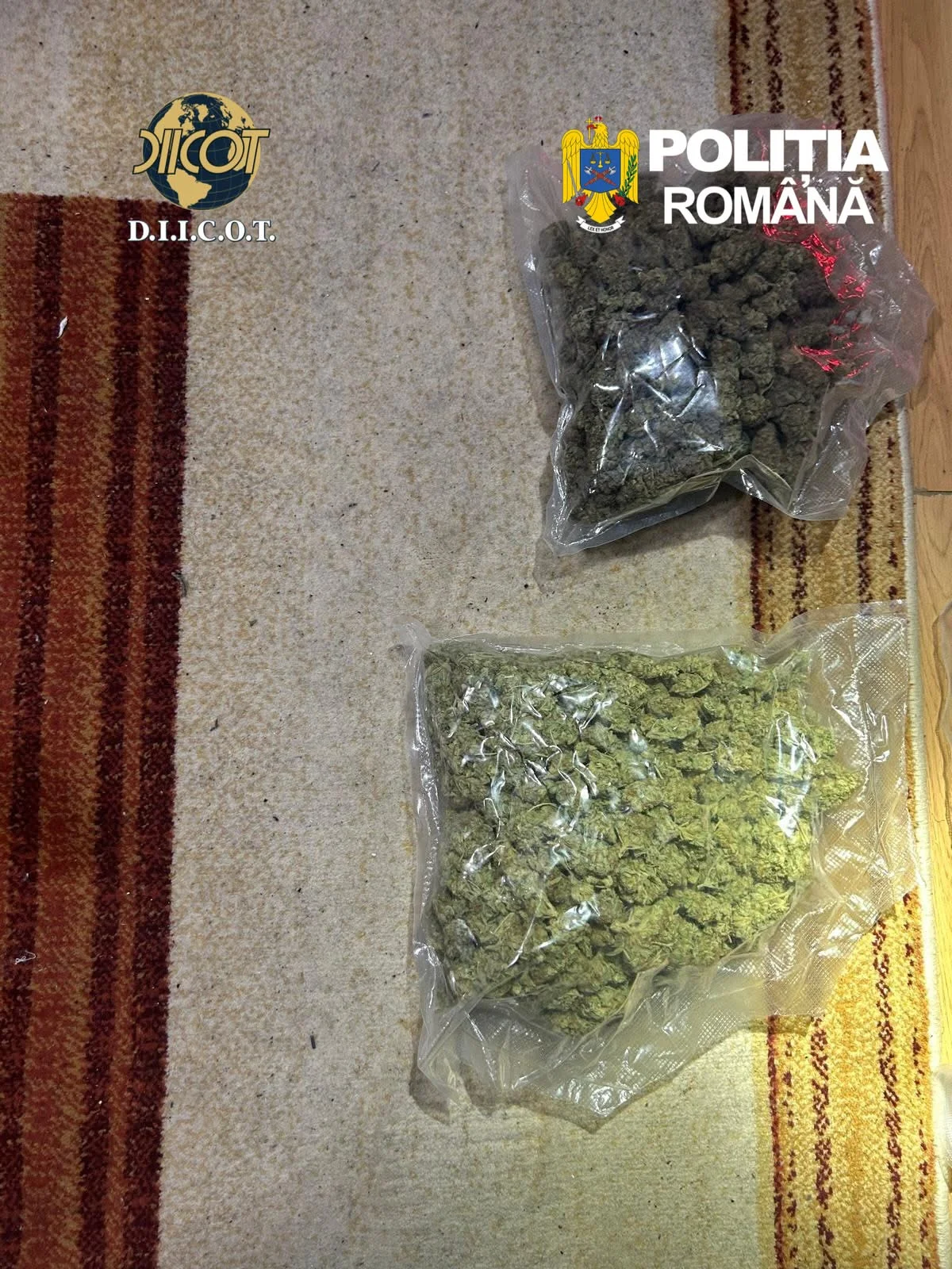 Doi traficanți de cocaină, arestați în Arad după flagrant și 6 percheziții