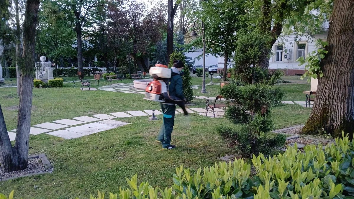 Dezinsecție în Arad pe 22 mai 2026: tratament antilarvar și anti-căpușe