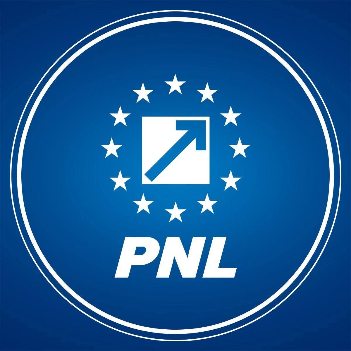 PNL a votat să nu mai facă alianță cu PSD după căderea Guvernului Bolojan